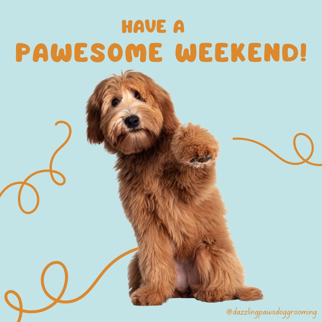 Wishing you all a very, very pawesome weekend filled with snacks, walks & lots of cuddles!! 🐾 🐾 🐾 

#DazzlingPaws #doggroomers 

#DogGrooming #Dogs #Doggo #Puppers #DogsofIG #DogsofInstagram #DogsofAuckland #Auckland #Remuera #Orakei
