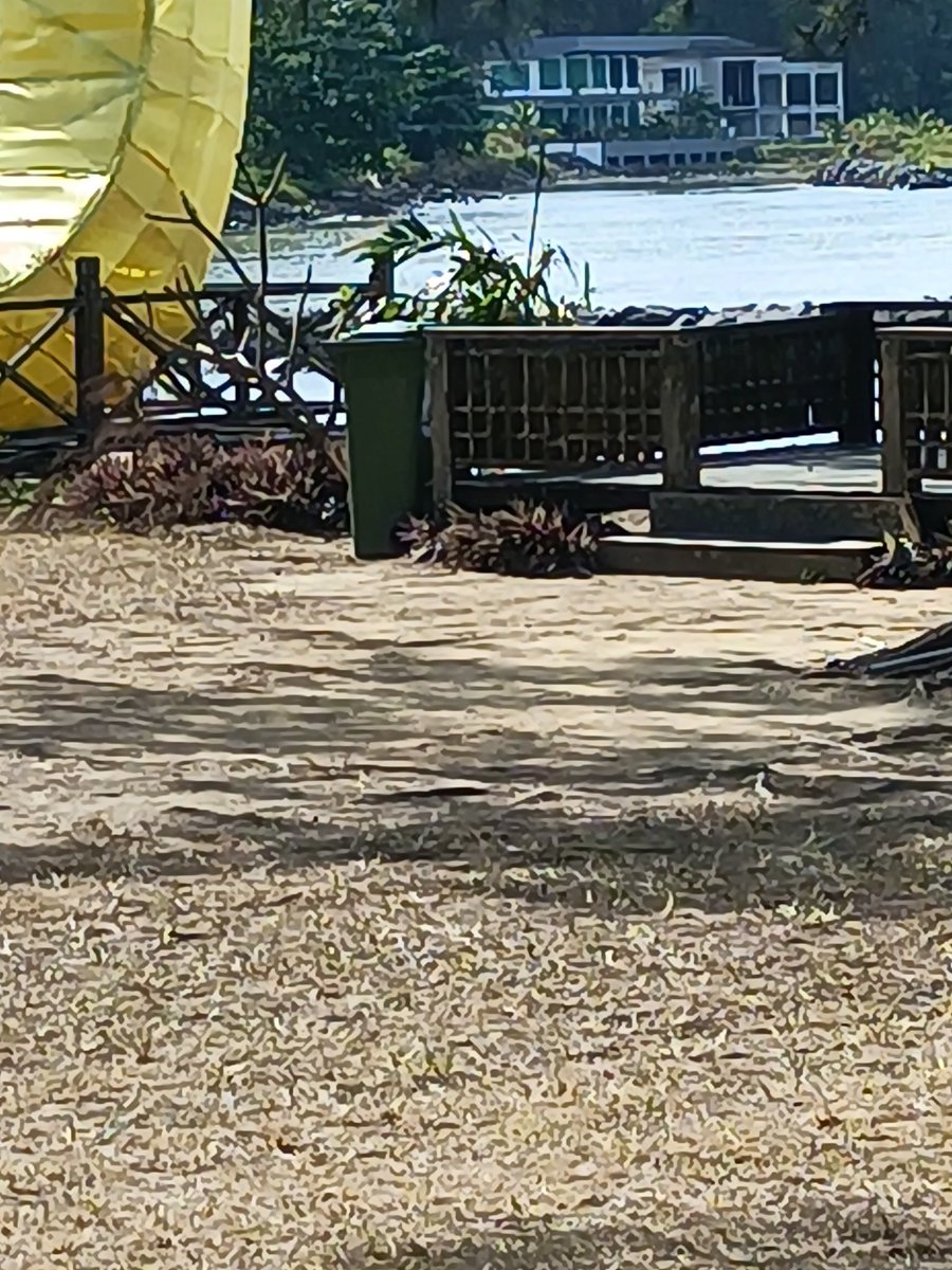 EastMister0822's tweet photo. Three tong sampah in the vicinity yet malaysians still cant lift their 25% obesity butts to put these in the bins.
#endlittering https://t.co/nP8UMcd5uC