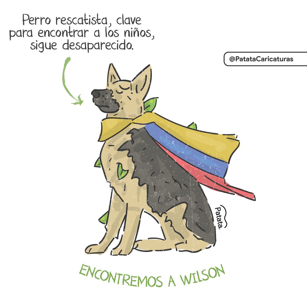 Patata Caricaturas tweet media
