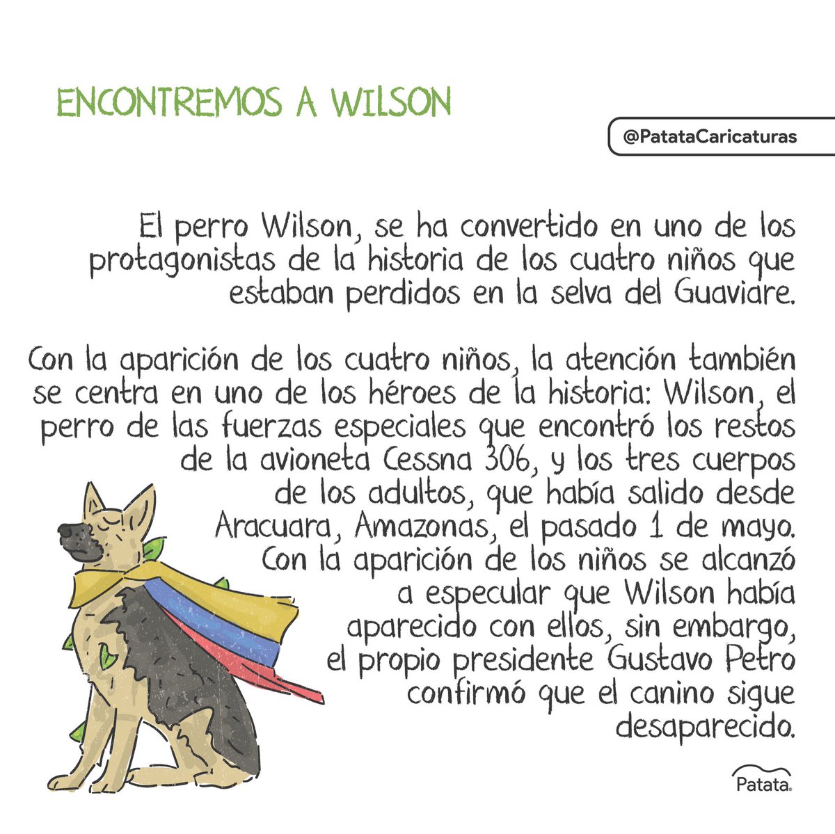 PATATAdibujo's tweet image. Wilson, el perro rescatista sigue desaparecido 💔
Fuente: Cambio