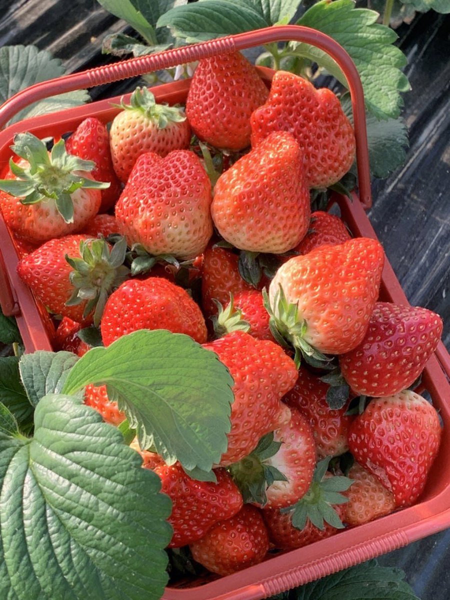 Go through it, then regret it, do what you want, choose what you love, not what is right in the eyes of others, you should live your life for yourself.