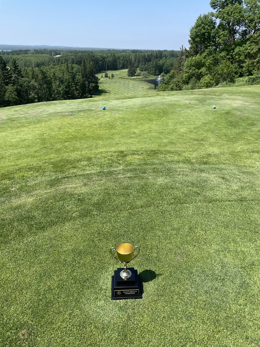 Bart Holt tweet media