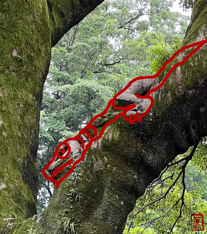 「井の頭公園で見つけた蒲田くん」|倉島一幸のイラスト