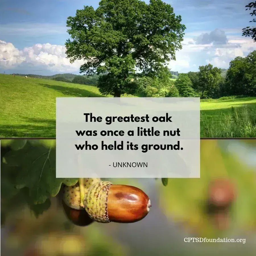 The greatest oak was once a little nut - #CPTSD #HealingJourney #Hope #Recovery #TraumaSurvivor #BecauseWeAreWorthIt #ComplexTrauma