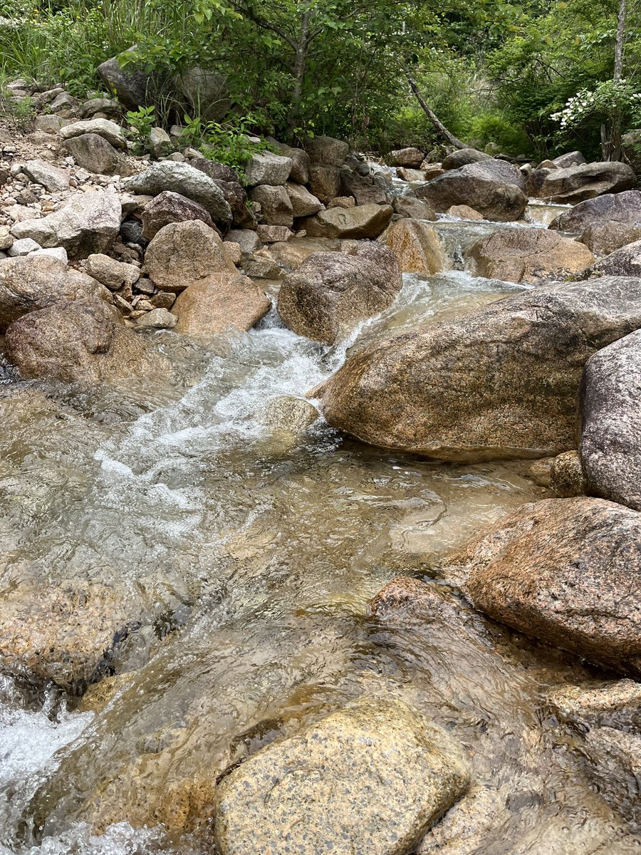 yasu1119breath's tweet photo. 野営開始🏕️

#寿司スタート
#野営
#キャンプ #CAMP
#MOTTAGE https://t.co/wlzJqT6qCT