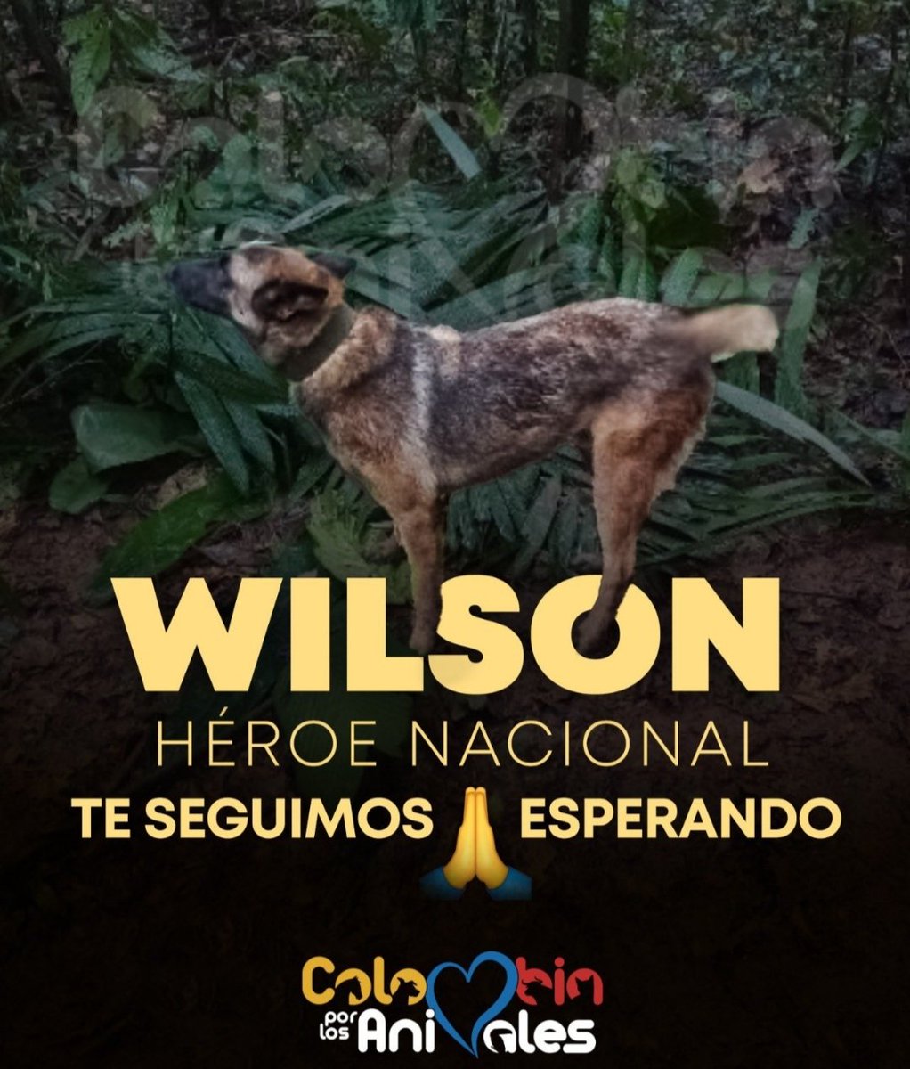 Sandra Riascos tweet media