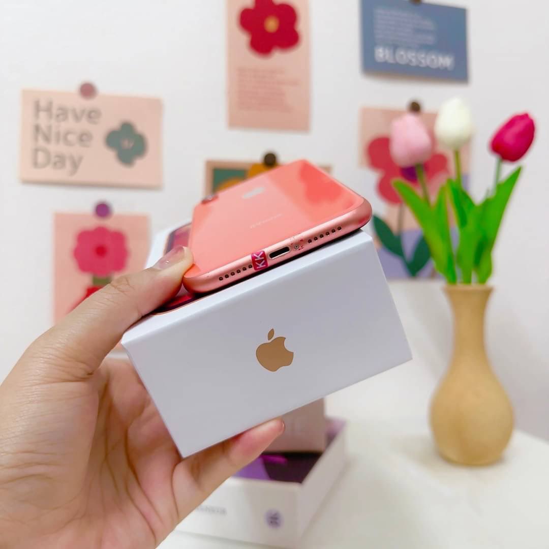 BbubbleStore's tweet image. #9608
IPhone Xr 64gb เครื่องศูนย์นอกแท้ สี Coral
ราคา 8,950 บาท ส่งฟรี

🔋 : สุขภาพแบต 81% 
📱 : สภาพ 96% มือสองมีรอยบ้างตามรูป
🛎 : การใช้งานอื่นๆปกติทุกอย่าง รีเซ็ตได้ ไม่ติดไอคราว

🛠 ประกันร้าน 15 วัน แถมอุปกรณ์ชุดชาร์จ ( มีกล่อง )
#ไอโฟน11 #ไอโฟนมือ2 #ไอโฟนมือสองราคาถูก