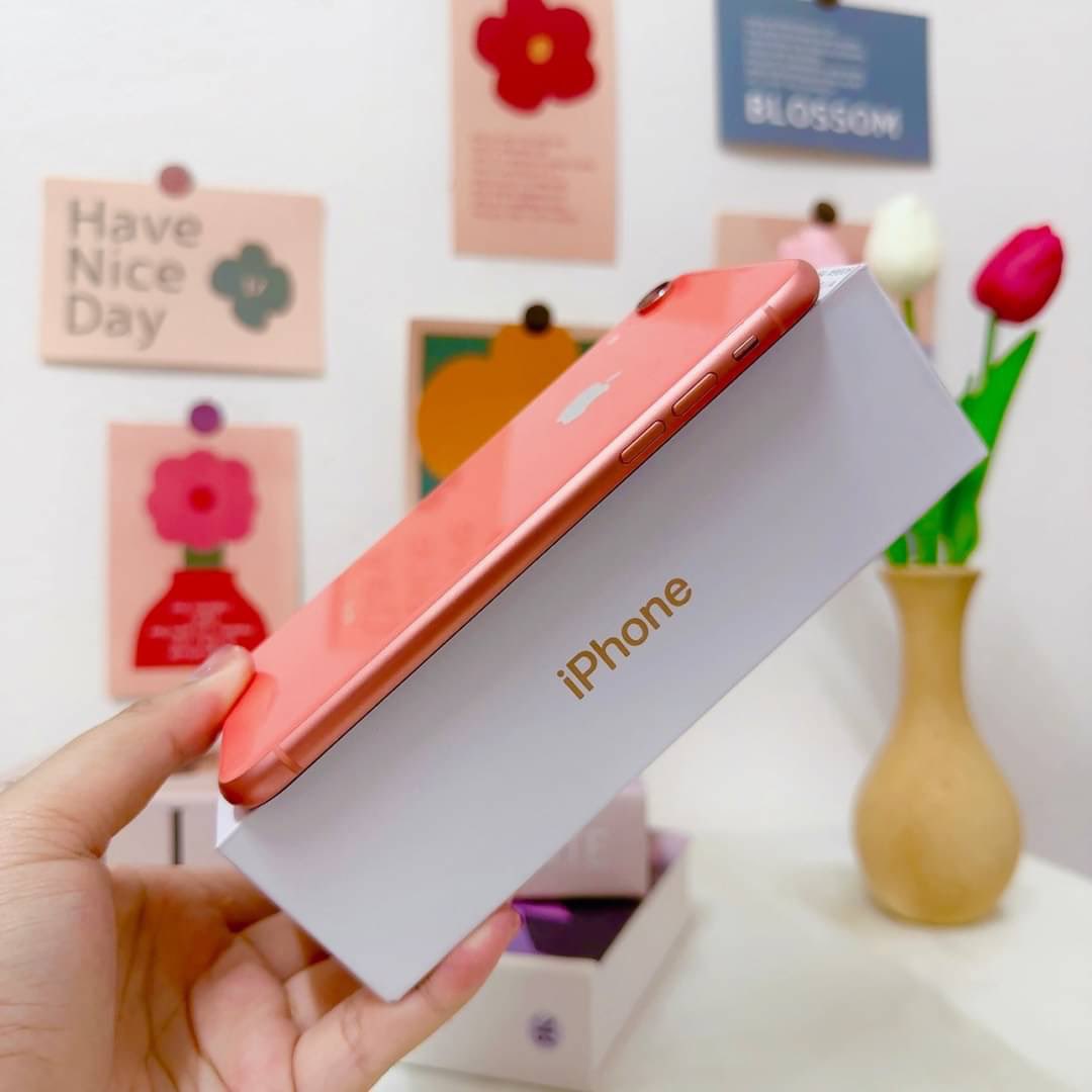 BbubbleStore's tweet image. #9608
IPhone Xr 64gb เครื่องศูนย์นอกแท้ สี Coral
ราคา 8,950 บาท ส่งฟรี

🔋 : สุขภาพแบต 81% 
📱 : สภาพ 96% มือสองมีรอยบ้างตามรูป
🛎 : การใช้งานอื่นๆปกติทุกอย่าง รีเซ็ตได้ ไม่ติดไอคราว

🛠 ประกันร้าน 15 วัน แถมอุปกรณ์ชุดชาร์จ ( มีกล่อง )
#ไอโฟน11 #ไอโฟนมือ2 #ไอโฟนมือสองราคาถูก