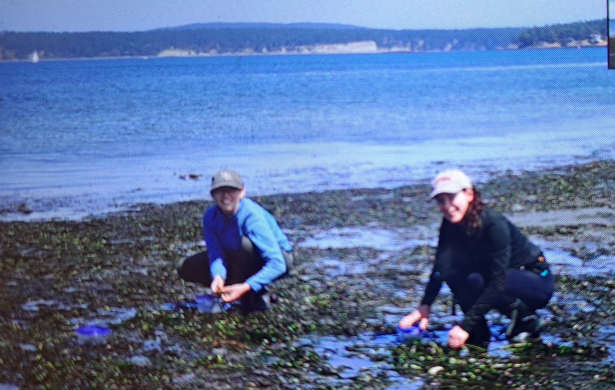 Karen Chan tweet media