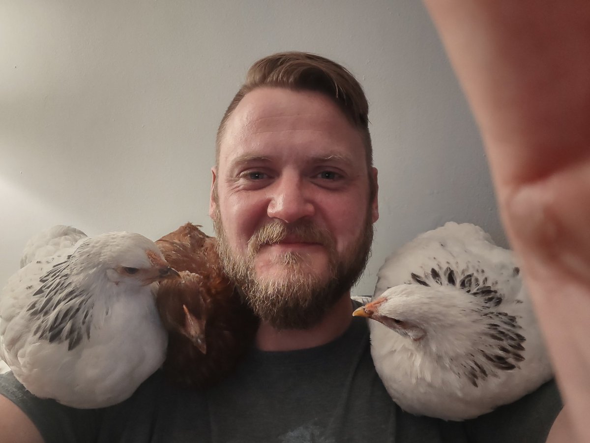 codingtogether's tweet image. How my night's going ❤️