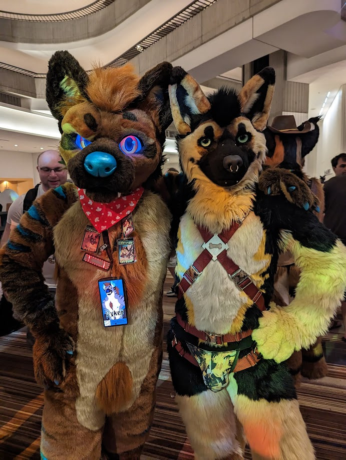 RykerYeen's tweet photo. Why have just a taste of Ryker when you can have a double dose?  
Double the name, double the game!

Go check out this good boy~ @RykerTheShep🎾 https://t.co/pMlQK4R5uK