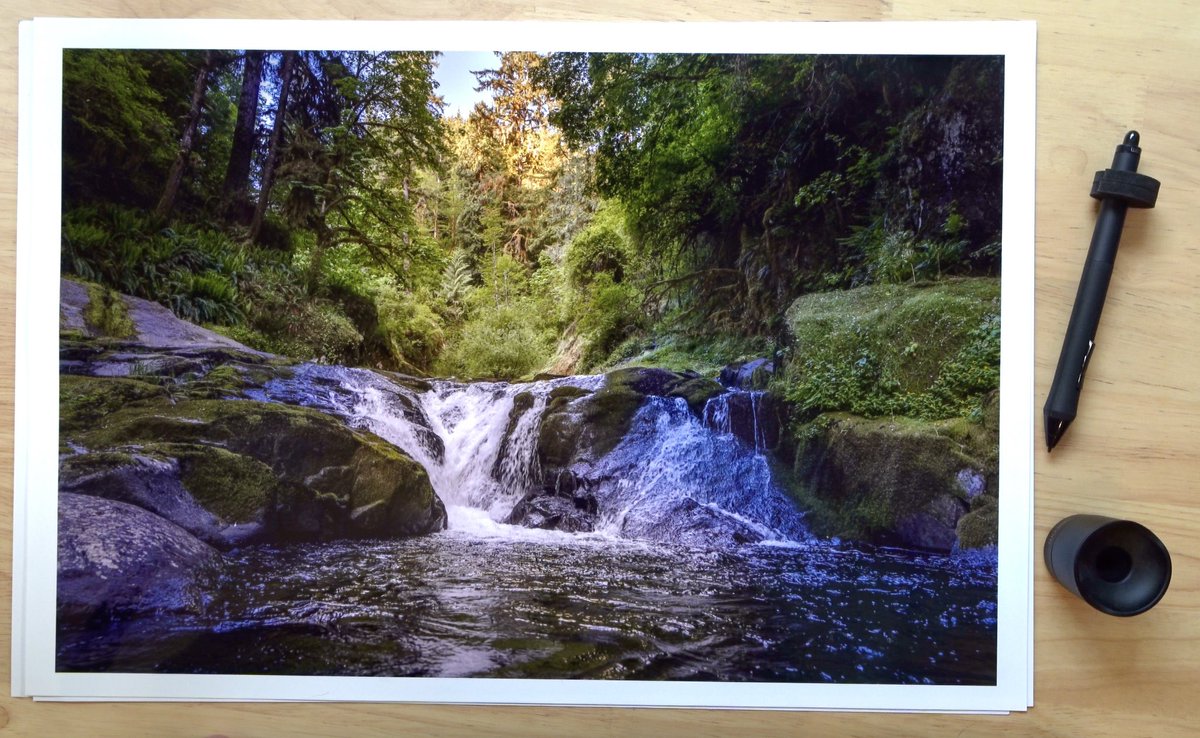 Picstill8's tweet photo. A quick hike at Sweet Creek Falls Trail working on some composition

https://t.co/GfWUghFryJ https://t.co/A7GsFyBgC8