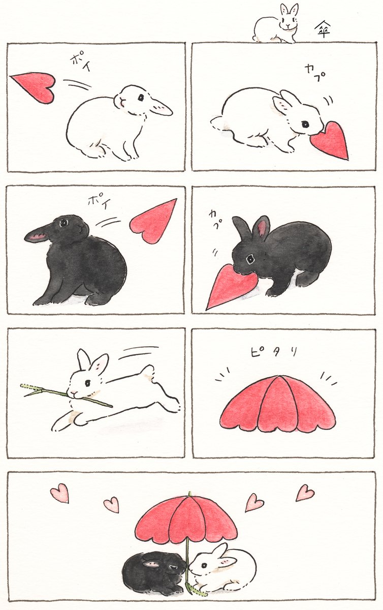 傘🐇❤🐇