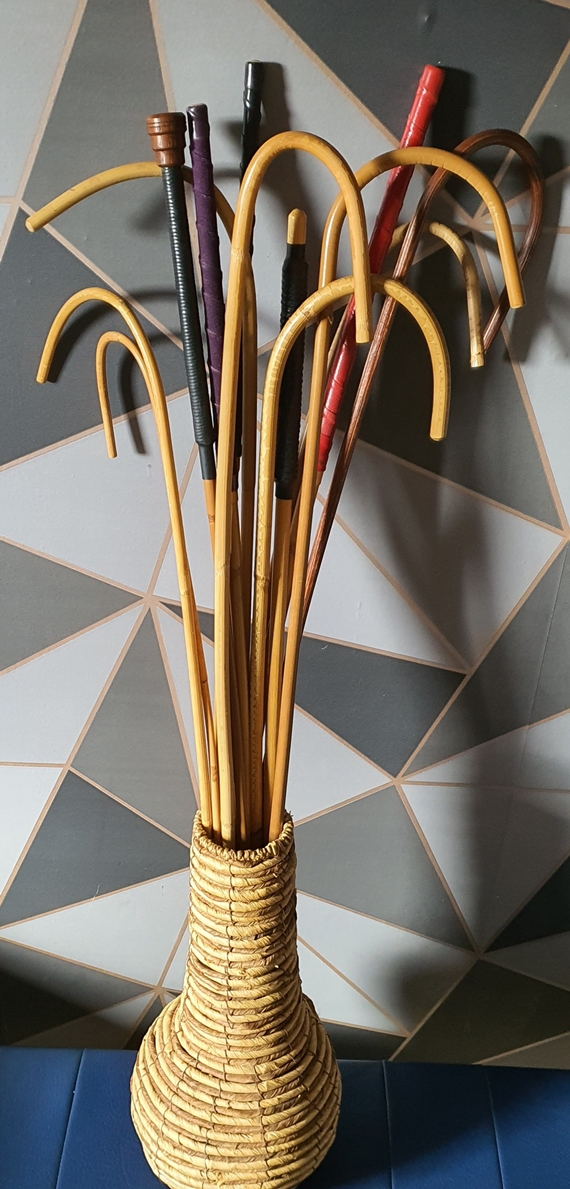 StrictLisa's tweet photo. who needs a vase of flowers when you have a vase of canes. https://t.co/pv7bxaGJwk