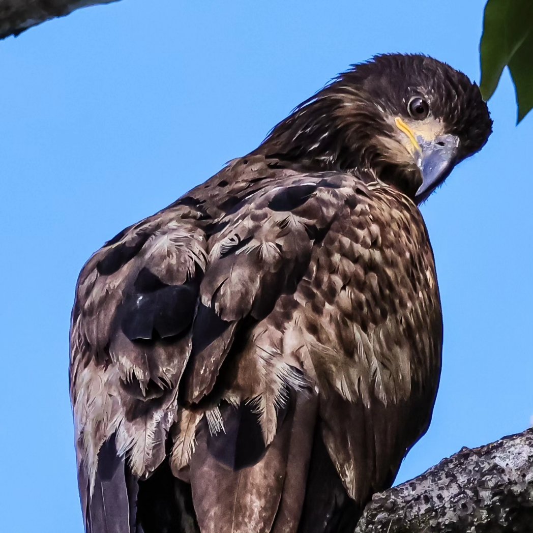 Are you looking at me?