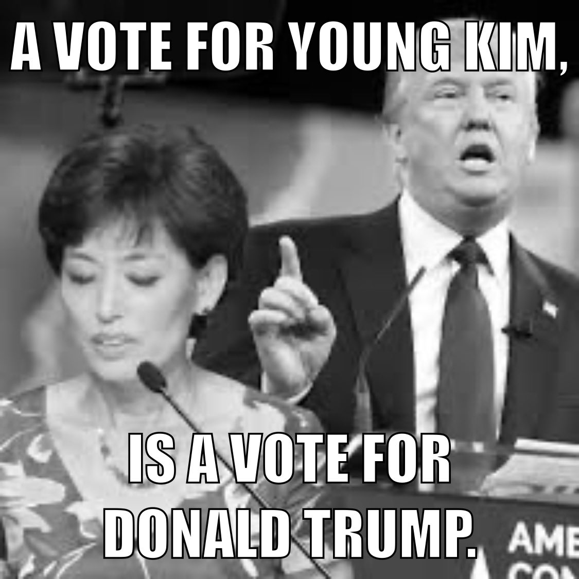 Hey #CA40, have you noticed that @RepYoungKim has posted a flurry of distractions in the last day? She’s trying to hide the fact that she has supported twice-indicted Donald Trump. Don’t let her forget it.