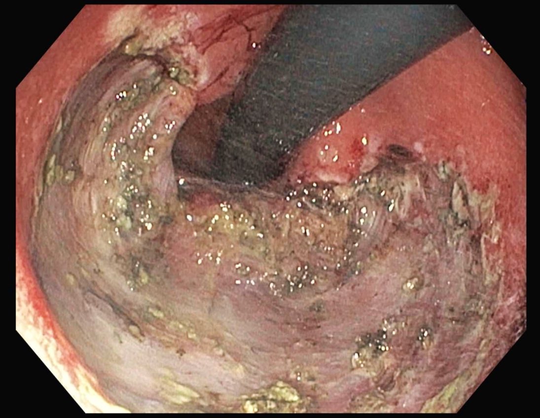 Kenneth Park, MD, MSc, DABOM tweet media