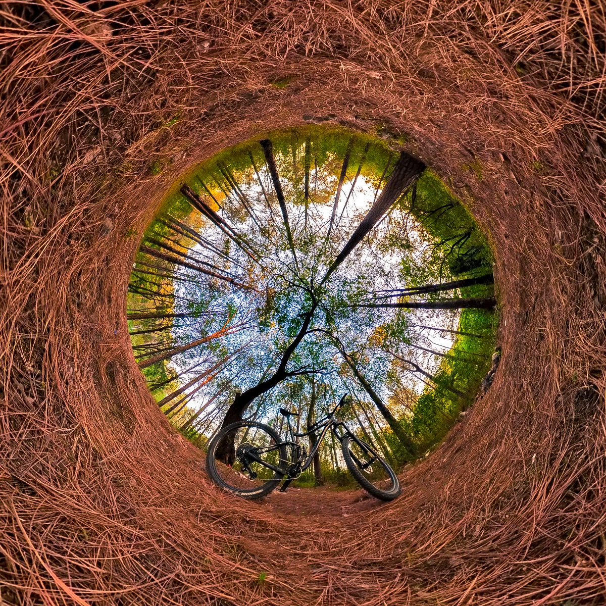 Capturing the awe-inspiring beauty of nature while riding the trails on two wheels. 🌲🚵‍♂️ 
#MountainBiking #360Photo #NatureWonders