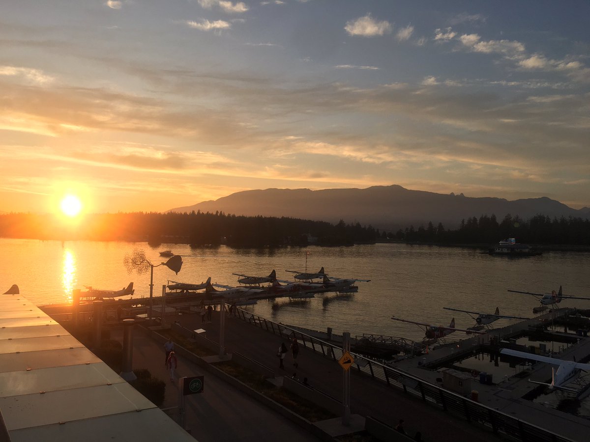 Daliah Farajat tweet media