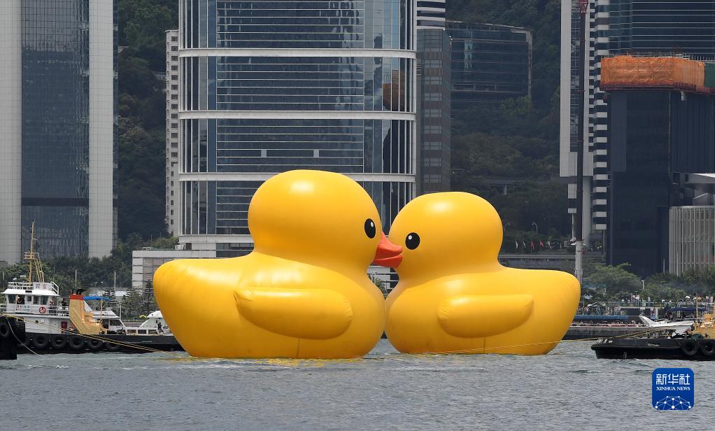 Welcome back! A pair of giant rubber ducks captured people's attention as they floated in Victoria Harbor, China's Hong Kong, on Friday. The iconic yellow rubber duck made its first appearance in HK 10 years ago. The 18-meter-high duo will sail on the harbor for about two weeks.