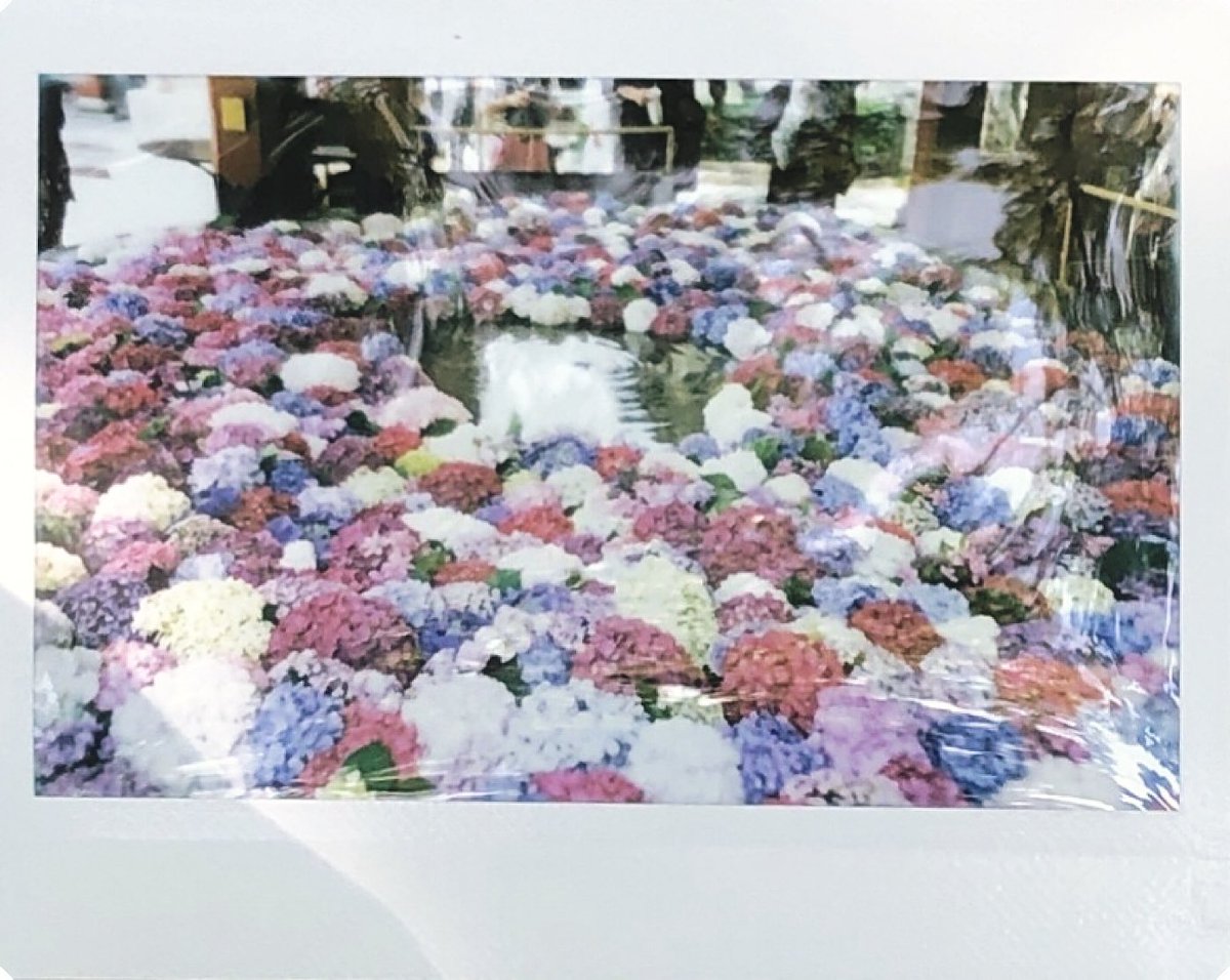 zuruo2's tweet image. 太宰府

 #rf70  #instakonrf70 #mintcamera