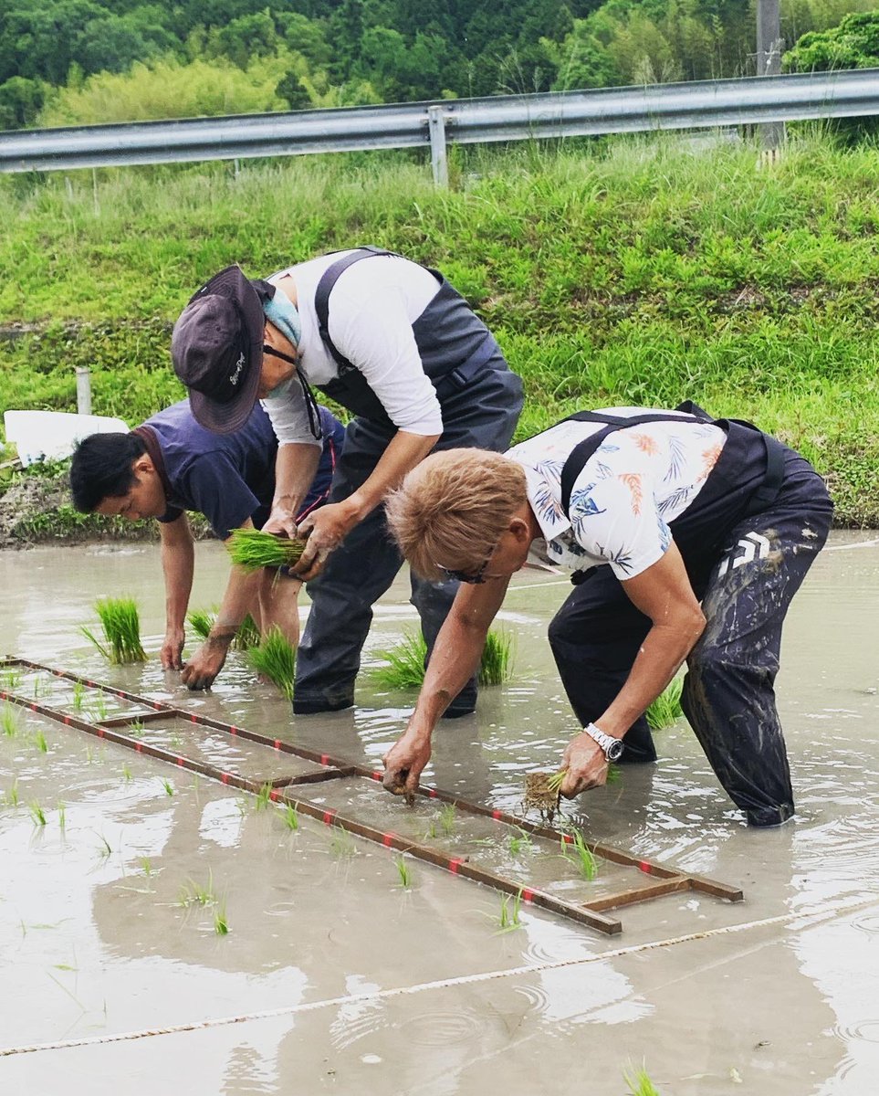 coco_sasayama's tweet image. 先日開催した稲の手植え体験はデプスの皆様に参加して頂きました！

ご参加ありがとうございました♫

#デプス #稲 #手植え #手植えで田植え #田植え