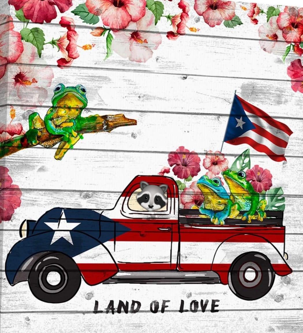 Damaris Moné 🇺🇸🇵🇷👩🏻‍🎨 tweet media