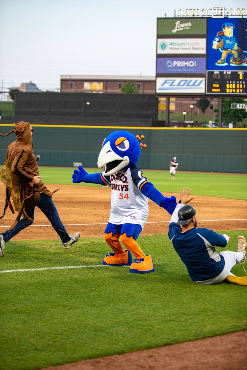 Carolina Disco Turkeys tweet media
