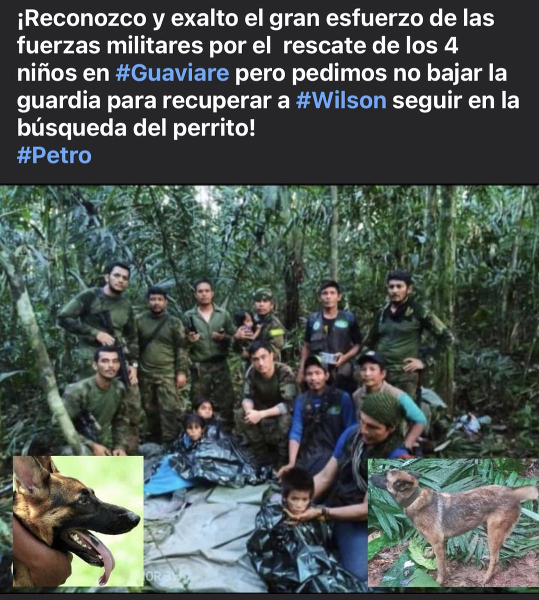 ¡Reconozco y exalto el gran esfuerzo de las fuerzas militares por el  rescate de los 4 niños en #Guaviare pero pedimos no bajar la guardia para recuperar a #Wilson seguir en la búsqueda del perrito! <a href="/COL_EJERCITO/">Ejército Nacional de Colombia</a> <a href="/petrogustavo/">Gustavo Petro</a> 
#Petro