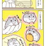 可愛すぎる!ハムスターを飼う前の想像や飼ったあとの思考を描いたイラストが話題に!