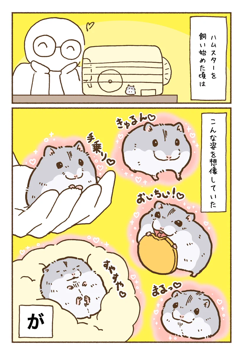 可愛すぎる！ハムスターを飼う前の想像や飼ったあとの思考を描いたイラストが話題に！