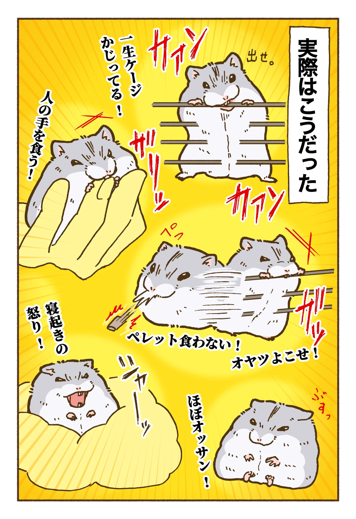 可愛すぎる！ハムスターを飼う前の想像や飼ったあとの思考を描いたイラストが話題に！