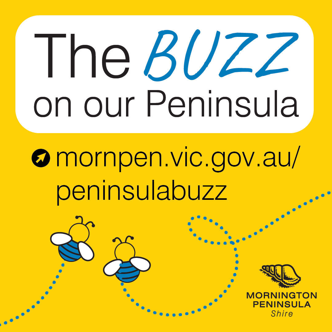 Do you like to bee in the know?! 🐝 Peninsula Buzz is our monthly e-newsletter full of our latest community news! Check it out here today - bit.ly/3WWJ5Av OR To receive it every month, visit: bit.ly/3ztdGu7 #OurPeninsula #MornPenTogether #PeninsulaBuzz