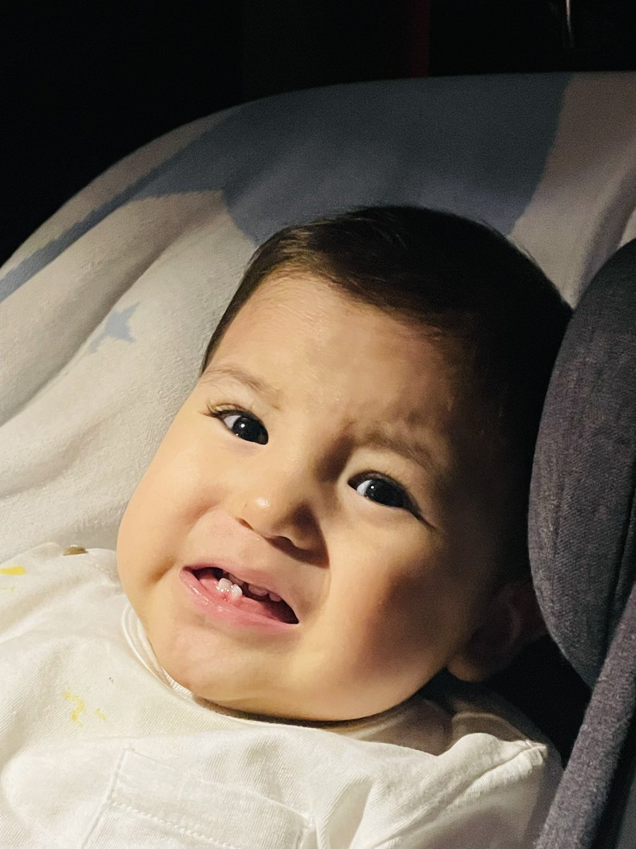 Esa cara me convenció, después de una mordida que me dio con sus 6 dientes. 🥺 #Santiago #vida