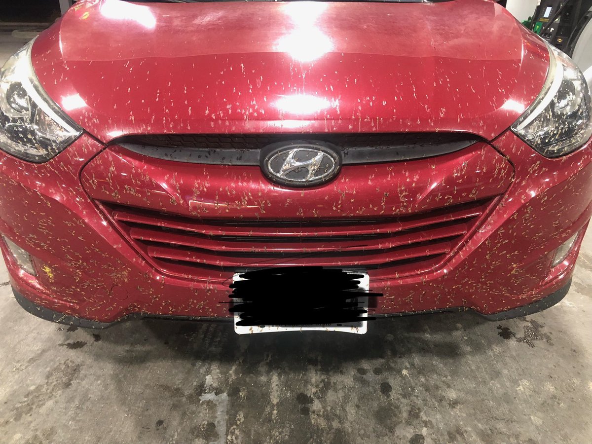 Keithdurham's tweet image. Trying to avoid bugs driving through west TX is like me trying to avoid another weekend honey-do list. It ain’t gonna happen.  #westtexaslife #baptistassociationalwork