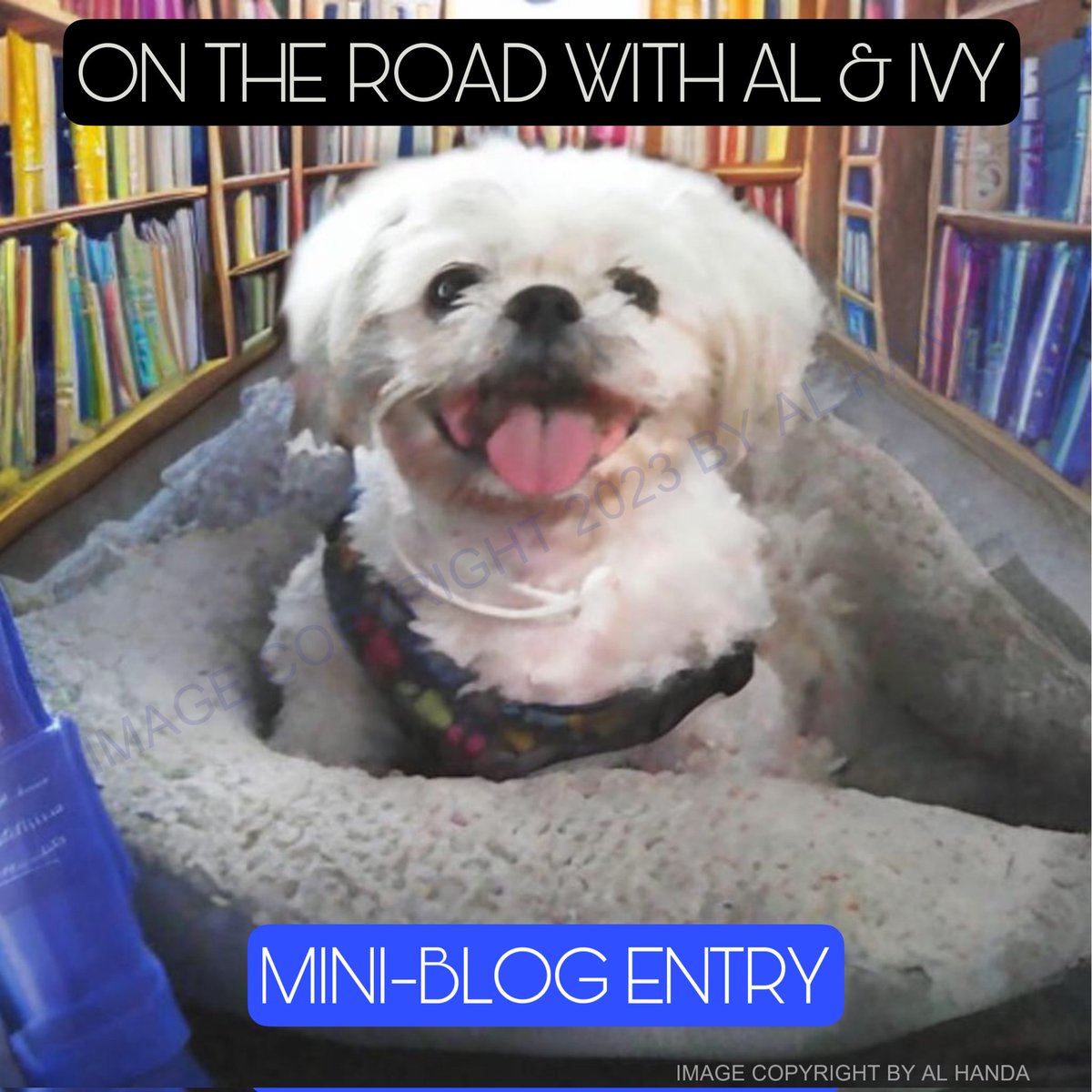 alhanda's tweet image. On The Road With Al &amp;amp; Ivy: The New Subscriber Section starting in July

There&apos;s now a subscriber section for this account, but I won&apos;t formally promote it until July. I&apos;ll be spending the month of June loading content.

The subscriber section is live without exclusive tweets…