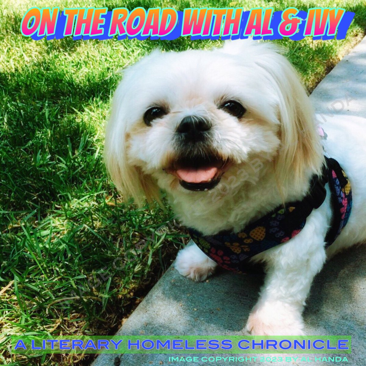 alhanda's tweet image. On The Road With Al &amp;amp; Ivy: The New Subscriber Section starting in July

There&apos;s now a subscriber section for this account, but I won&apos;t formally promote it until July. I&apos;ll be spending the month of June loading content.

The subscriber section is live without exclusive tweets…