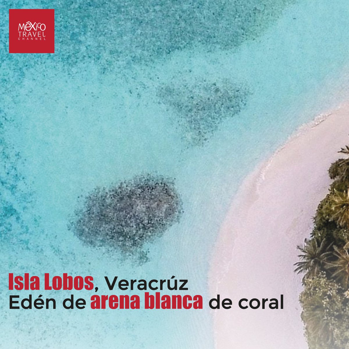MexicoTravelCh's tweet photo. Vibras y colores jarochos ✨🌊
https://t.co/GTHRVCvYCn
¿Qué otra playa te recuerda a esta?
#Veracruz #IslaLobos #ArenaBlanca #PlayasMexicanas #MéxicoTravelChannel https://t.co/eKHJiWNiWT
