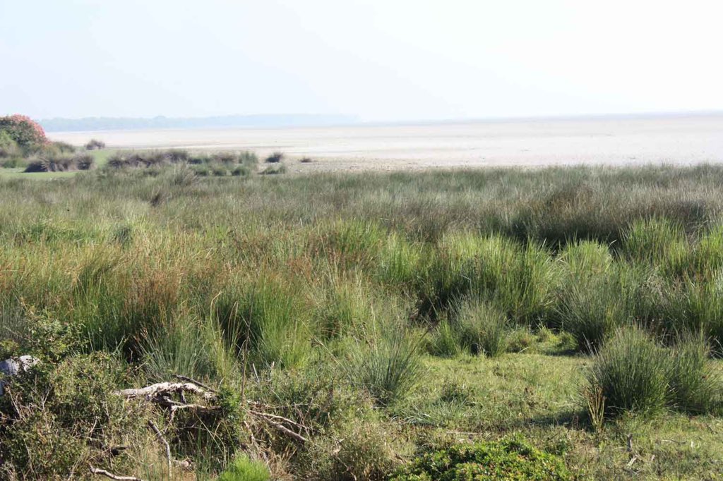 Está claro que #MorenoBonilla y <a href="/NunezFeijoo/">Alberto Núñez Feijóo</a> son dos pirómanos irresponsables. Primero prometen agua a regantes ilegales y luego cuando se lía el follón culpan al presidente <a href="/sanchezcastejon/">Pedro Sánchez</a> . No tienen vergüenza.