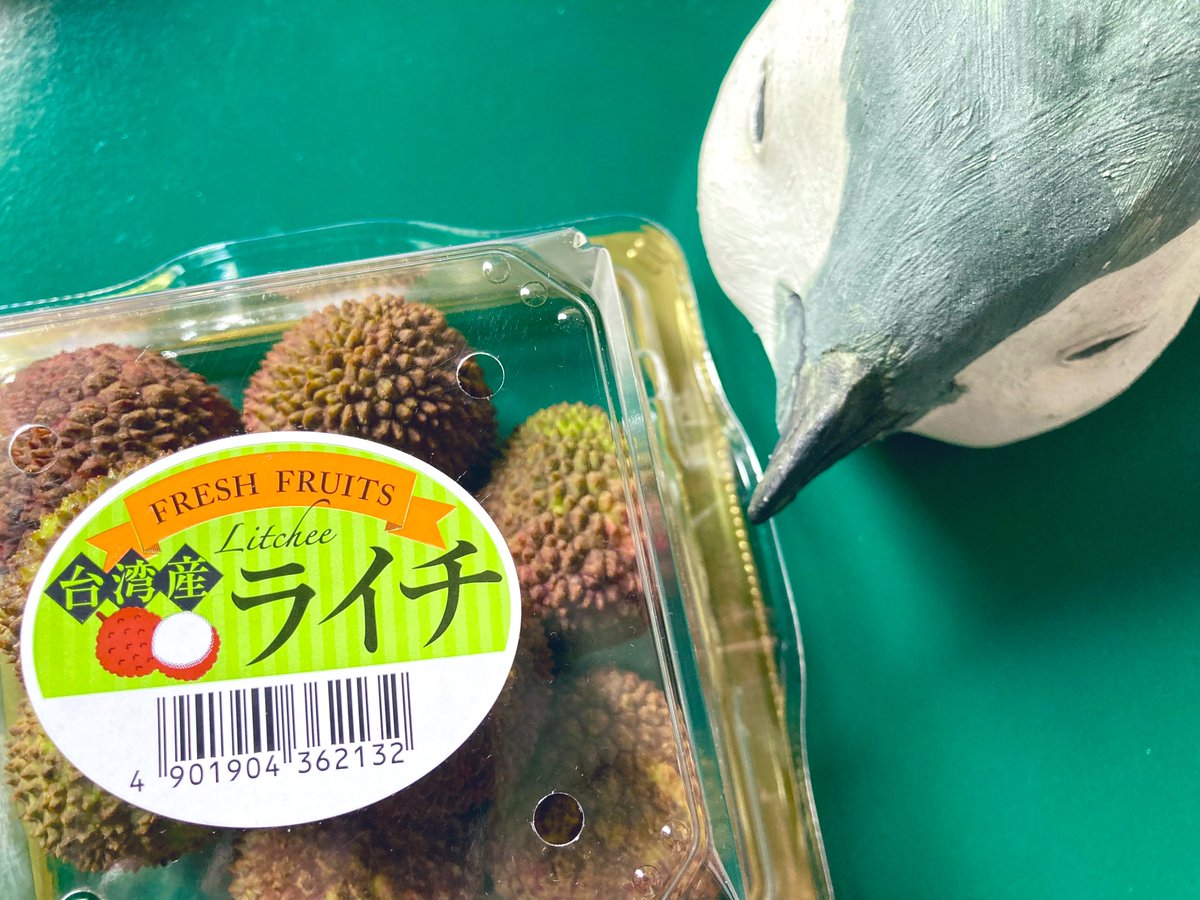 Leconte_'s tweet photo. プリンセスグリーンライチ💚
冷凍ではない #ライチ が出回る時期ですね💚
#Lychee  #Litchee 
#茘枝  #玉荷苞 https://t.co/y8vDkzFL6e
