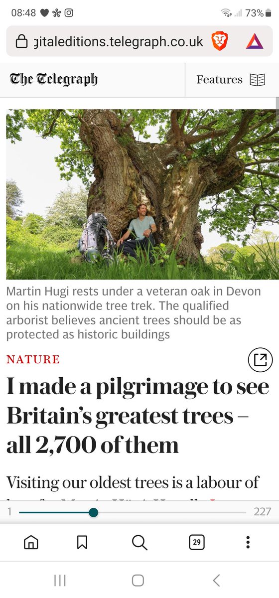 @TreePilgrim tweet media