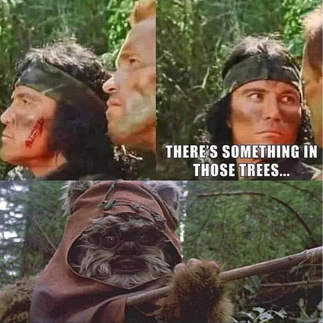 Thewearyadvent1's tweet image. 