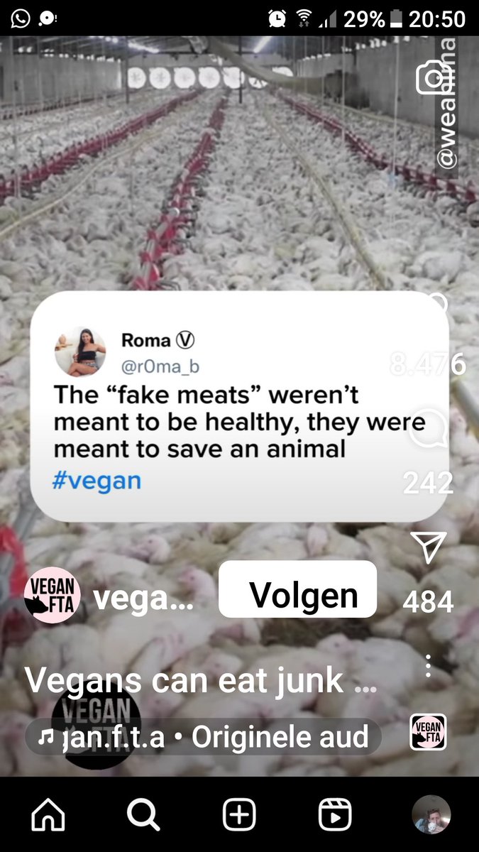 Ingrid Mommers tweet media