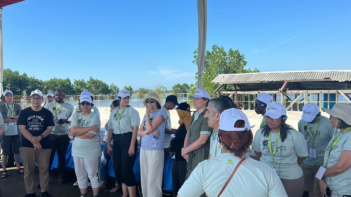 kemitraan_ind's tweet photo. Rombongan lanjut menuju Kelurahan Degayu untuk melihat penanaman mangrove dengan media bumbung bambu. Degayu merupakan wilayah yang dulunya merupakan persawahan dan kebun melati pada akhirnya harus beralih menjadi tambak ikan dan udang karena terendam air rob @adaptationfund https://t.co/R4oI90ASyK