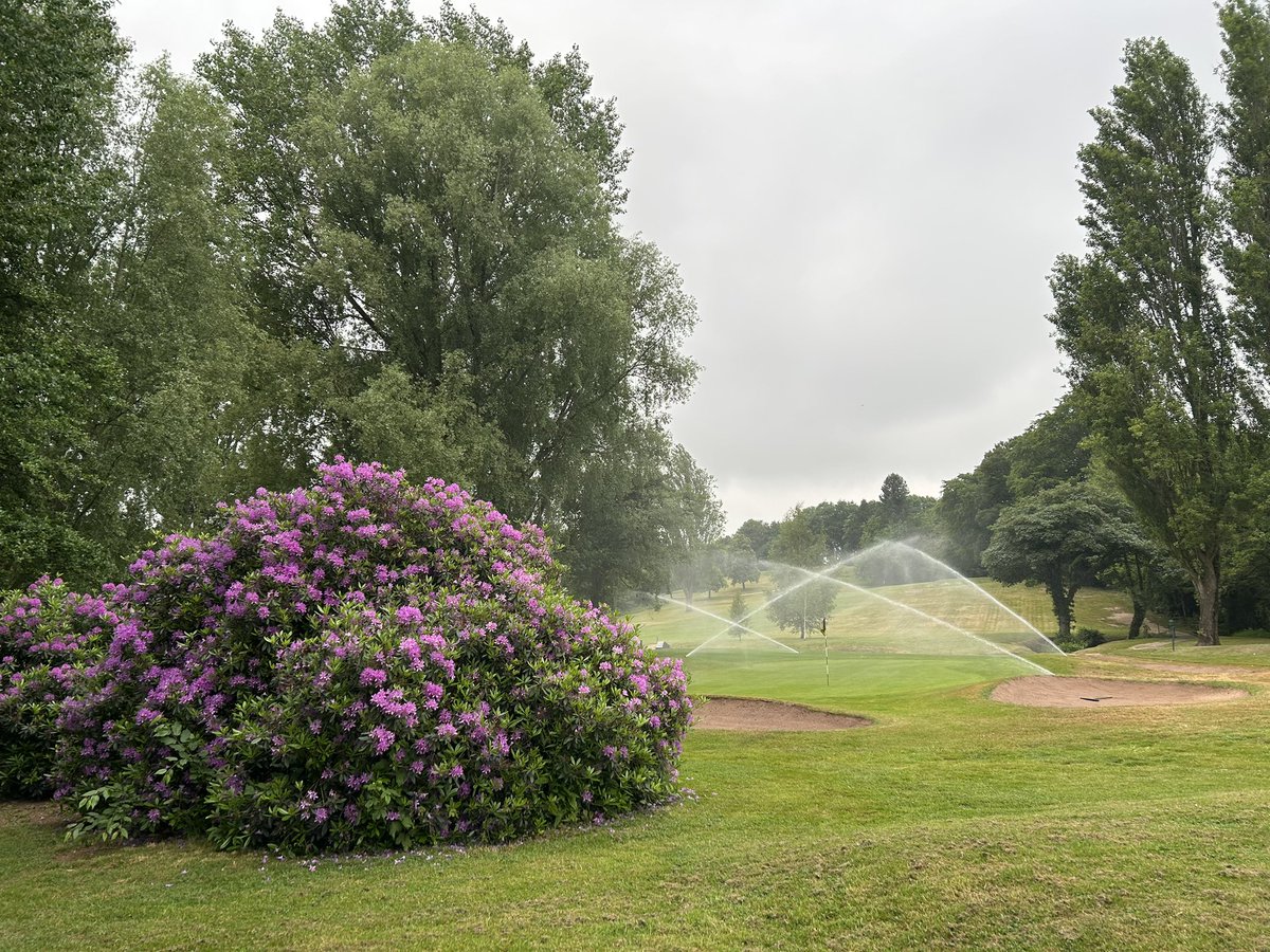 MarkSim93794378's tweet image. Greens cut, blown and holes trimmed, bunkers raked and due to irrigation system not playing ball last night watering behind mower to keep up with the high et rate at present 💦 🤓 💦

#issueresolved #hesays😂@MonmouthshireGC