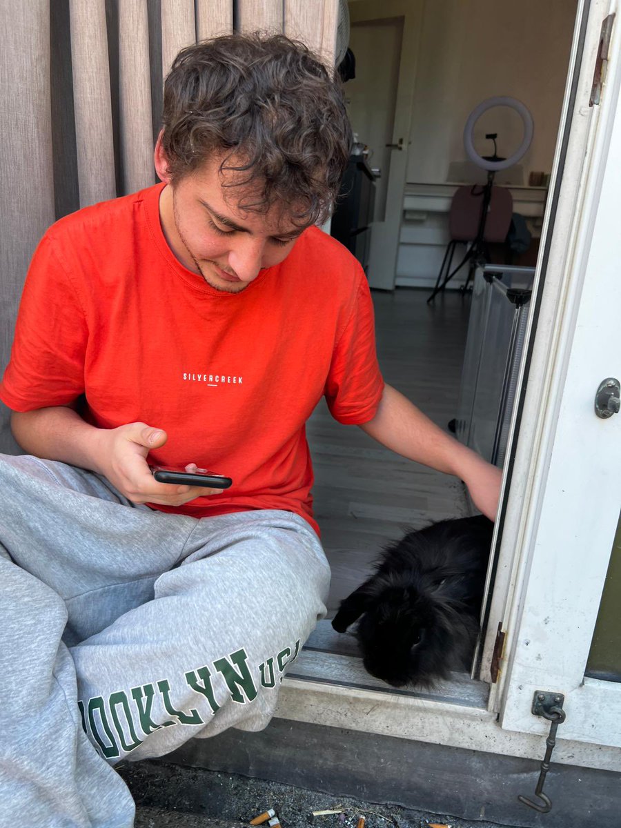 Mitchell tweet media