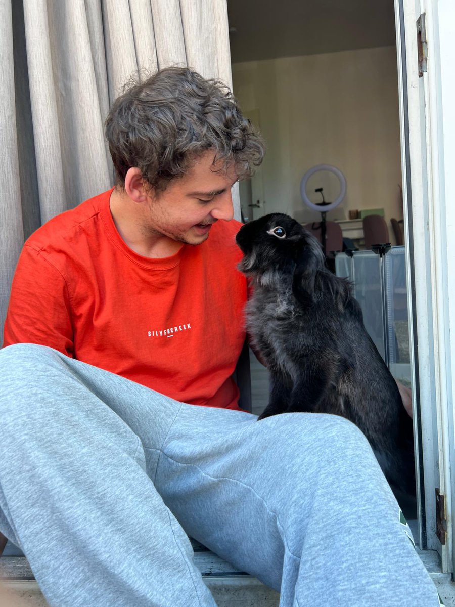 Mitchell tweet media