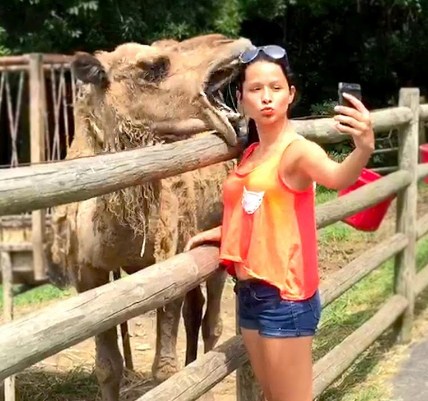 attacks35568's tweet image. UNEXPECTED Animal ATTACKS!