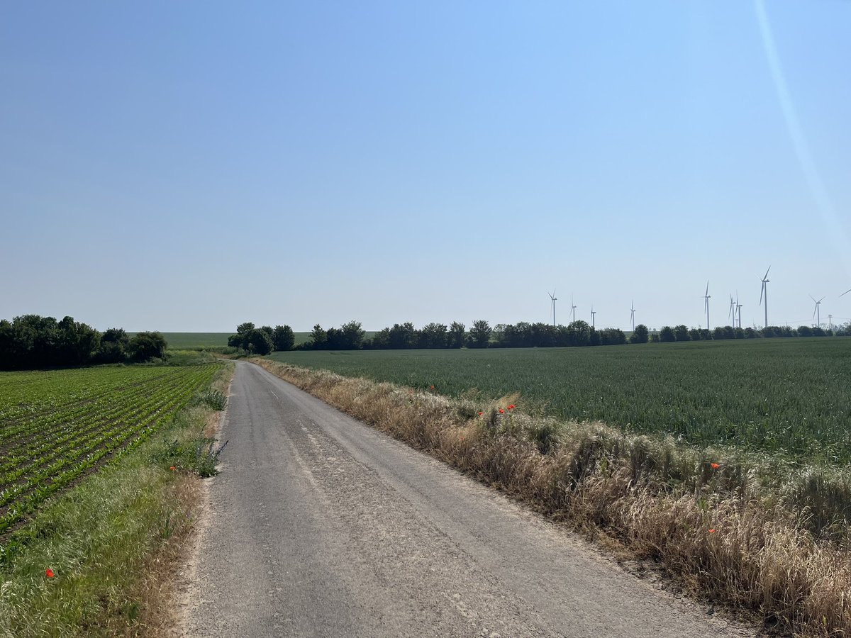 kaiimprove's tweet image. Geht spazieren