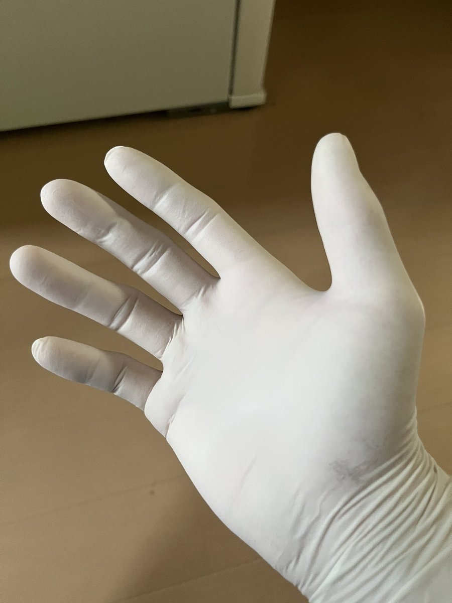 ちゃろさんのゴム手 楽天市場】サンフラワー SUN16 プラスチックグローブソフト ノン